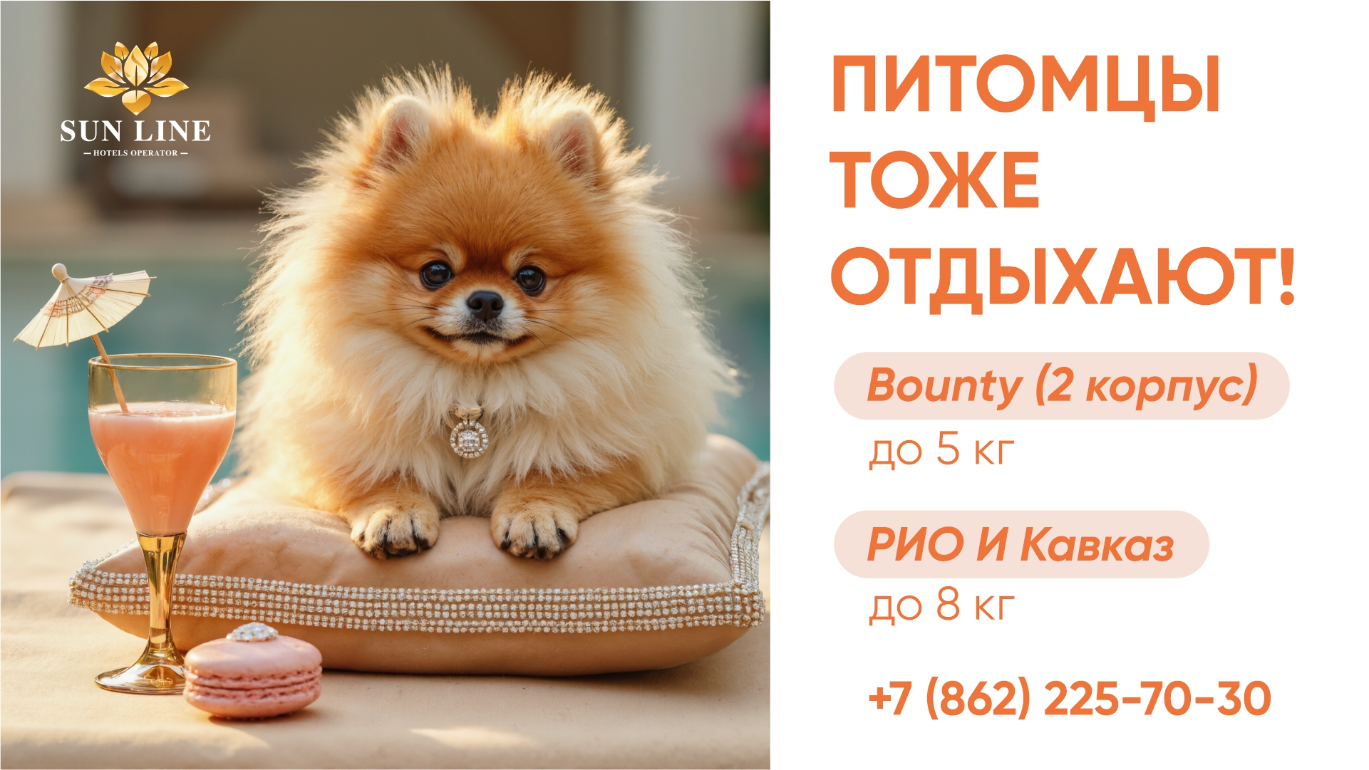Заголовок