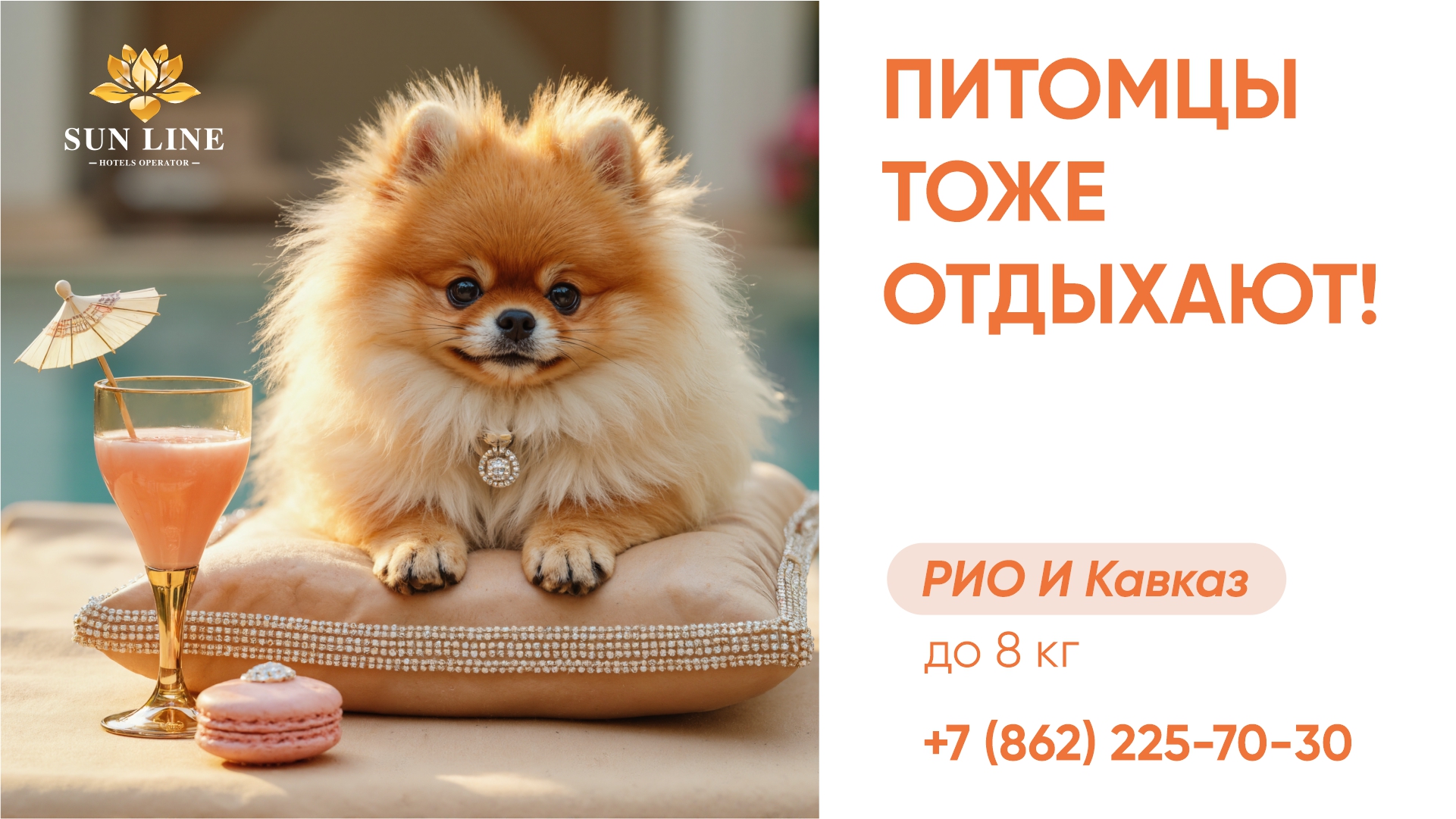 Заголовок